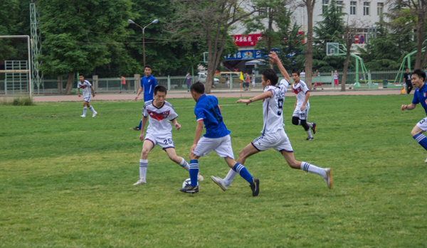 不仅促进了 不仅促进了