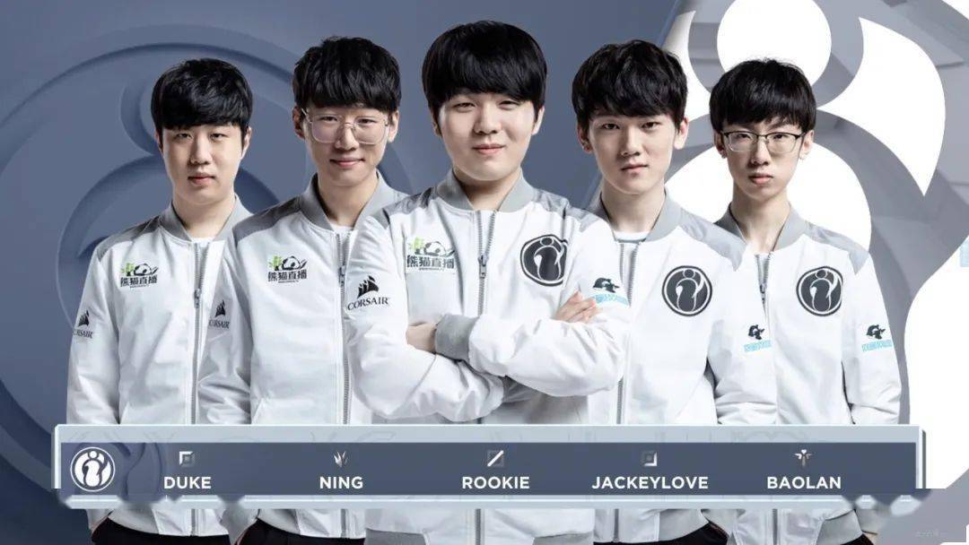 毛球未来的 毛球未来的